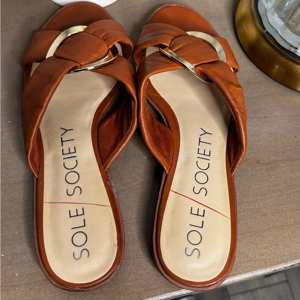 Sole Society Women's Brown Slide Sandals